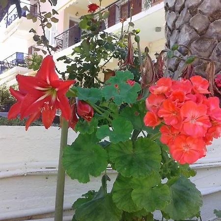 Aggeliki Apartment *